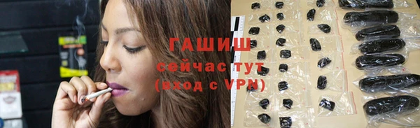 PSILOCYBIN Горняк