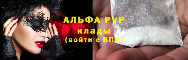 PSILOCYBIN Горняк