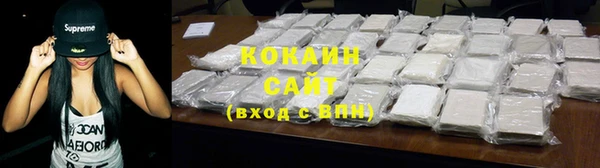 PSILOCYBIN Горняк