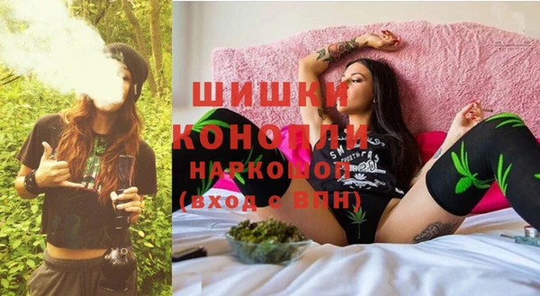 прущие крисы Гусев