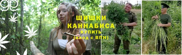 PSILOCYBIN Горняк