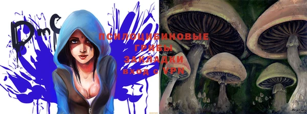 PSILOCYBIN Горняк