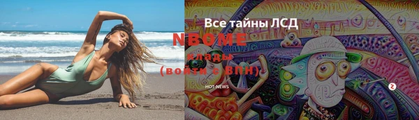PSILOCYBIN Горняк