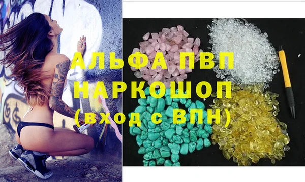 PSILOCYBIN Горняк